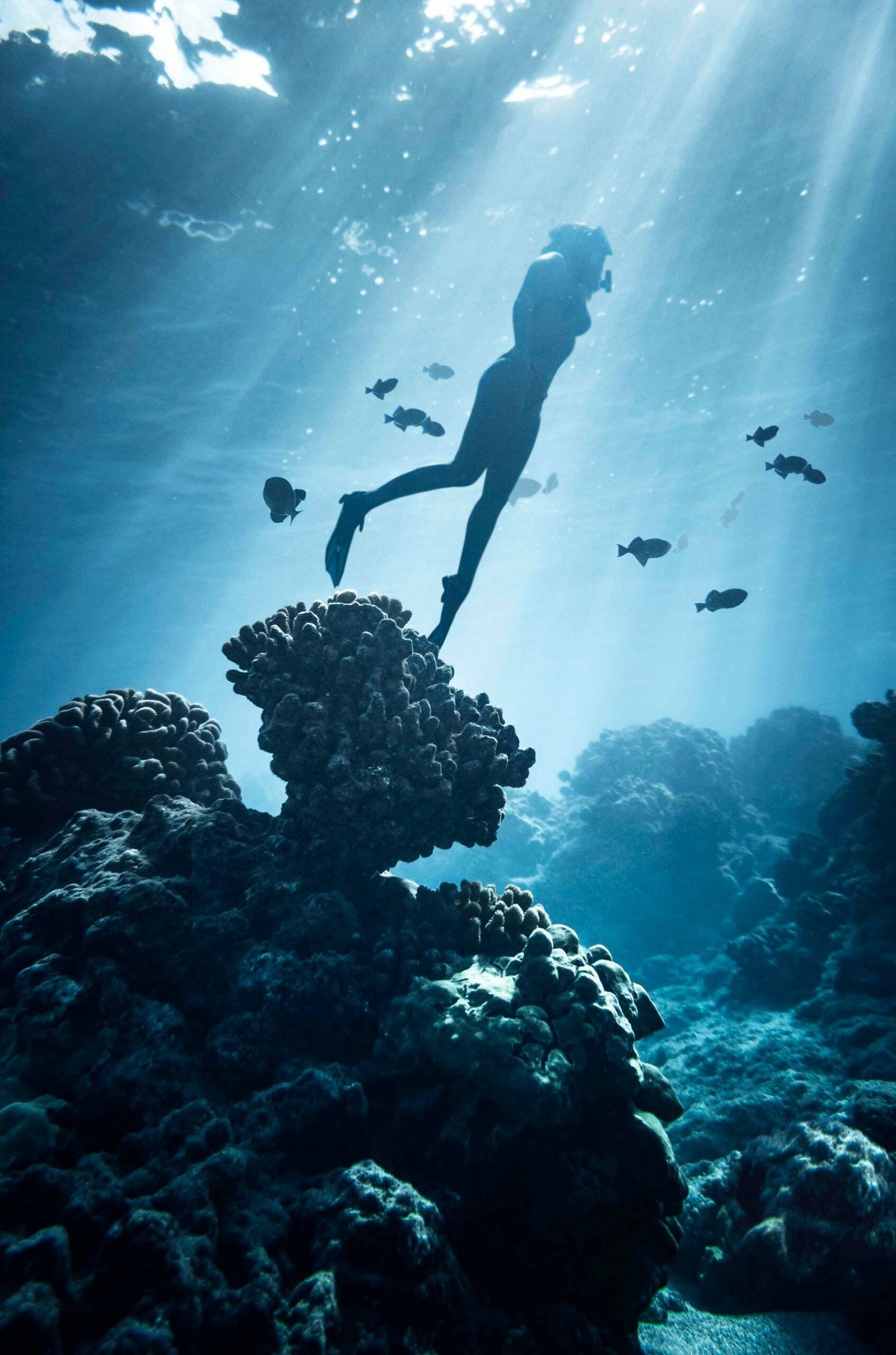 full-shot-swimming-with-fish